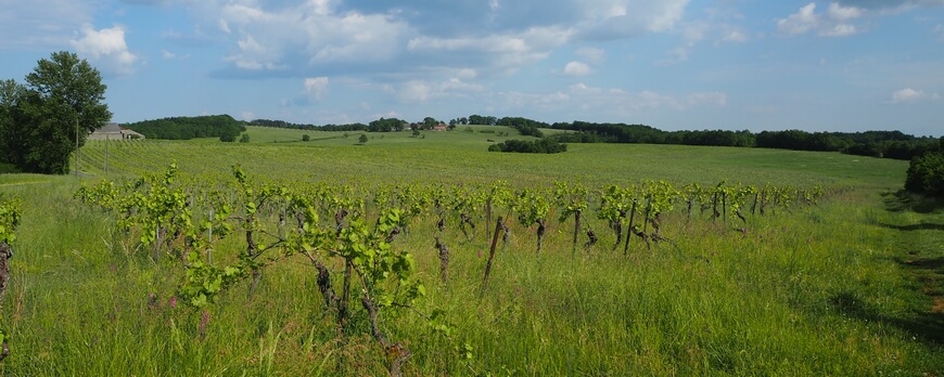 Château Paillas sur le Causse de Cahors